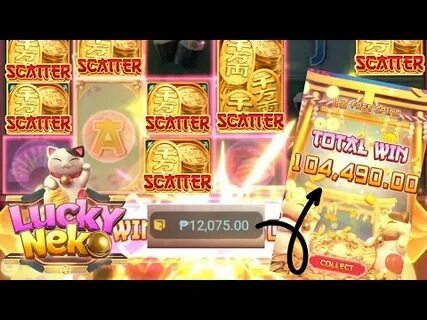 fortune tiger 2024 