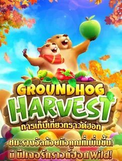 fortune tiger slot game withdrawal 