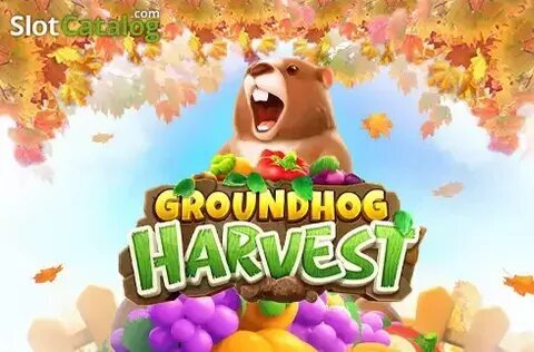 jogo do tigrinho que paga melhor 