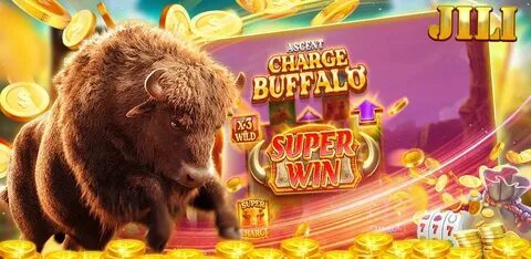 numero 3 
